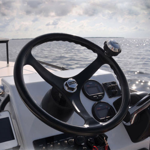 Boat steering wheel and helm controls