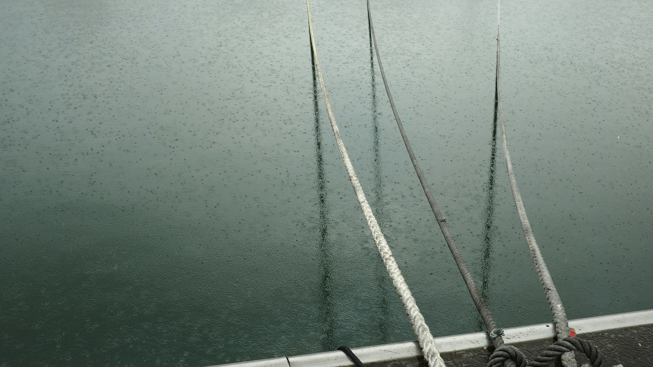 Dock lines and rigging at a marina